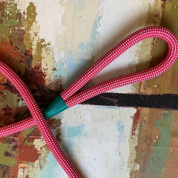 MERRY & BRIGHT - Christmas Themed Dog Leash - Picture 2 of 5